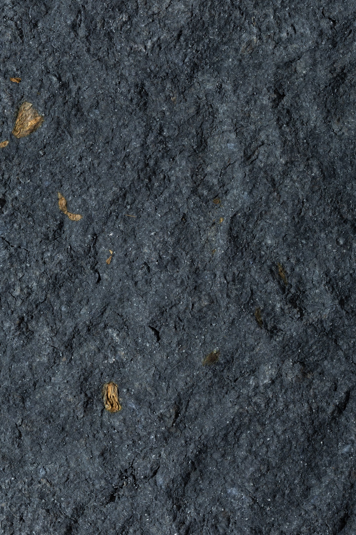 Luna Centrepiece - M