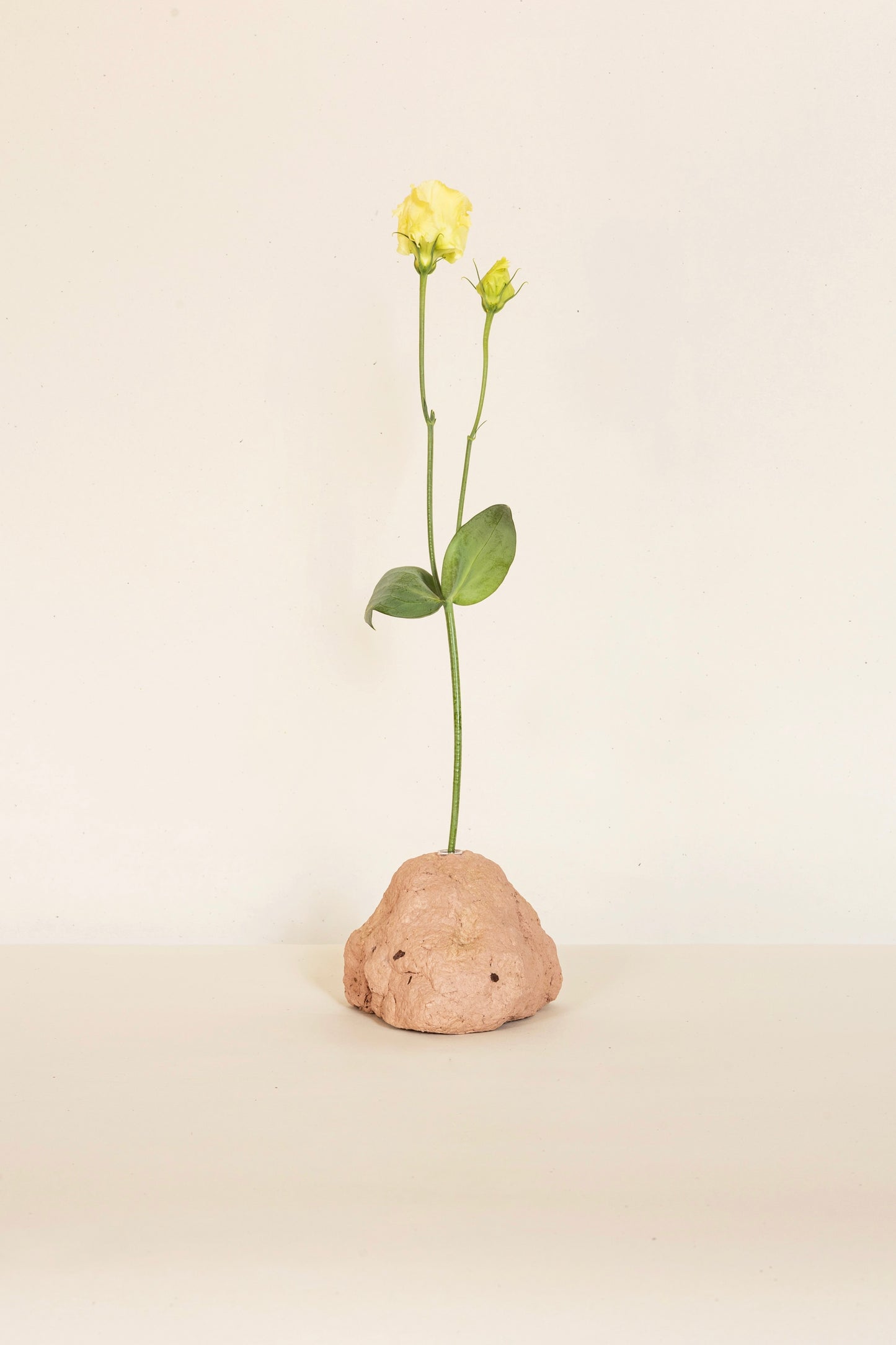Ridge Bud Vase
